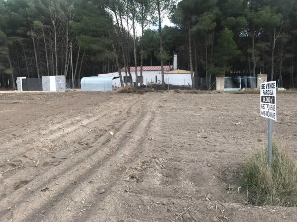 Terreno en Partida las Chozas