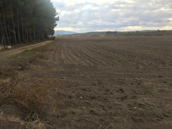 Terreno en Partida las Chozas
