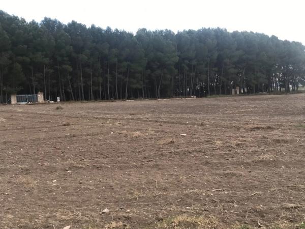 Terreno en Partida las Chozas