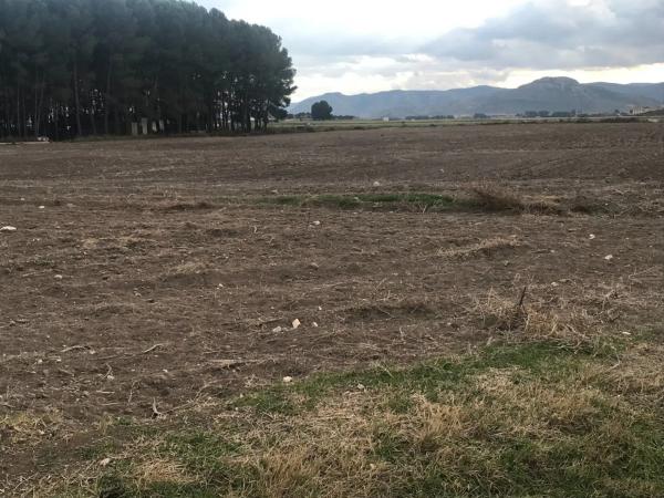 Terreno en Partida las Chozas