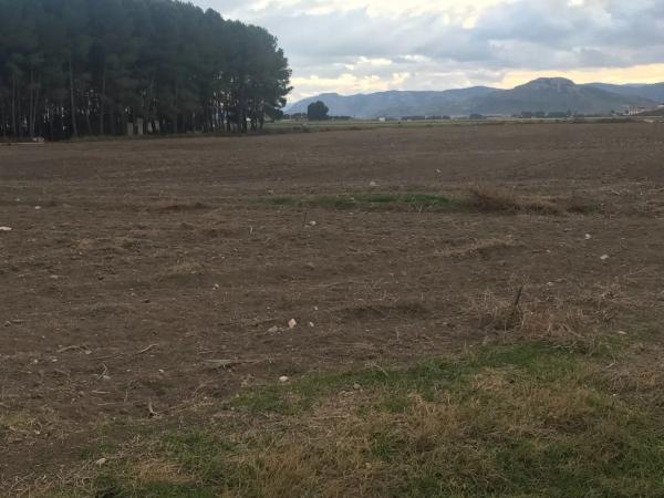 Terreno en Partida las Chozas