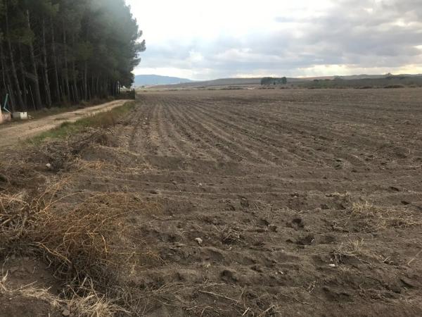 Terreno en Partida las Chozas