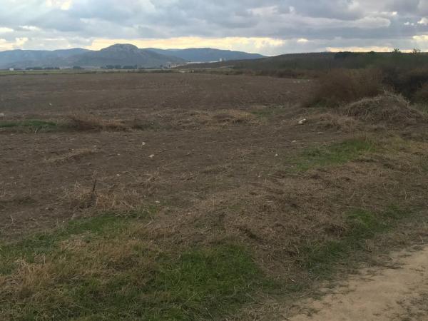 Terreno en Partida las Chozas