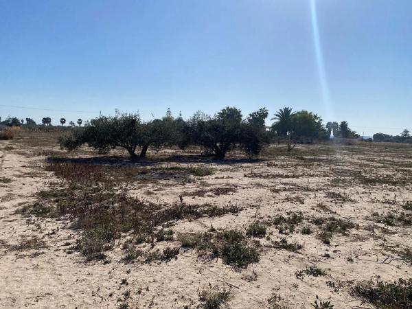 Terreno en La Hoya-Daimes-El Derramador