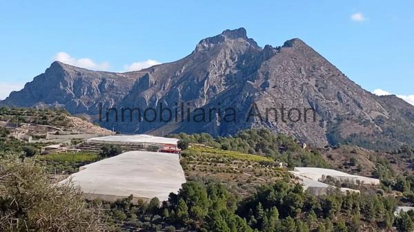 Terreno en Callosa d'En Sarria