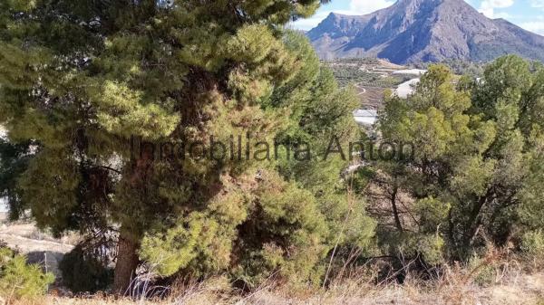 Terreno en Callosa d'En Sarria