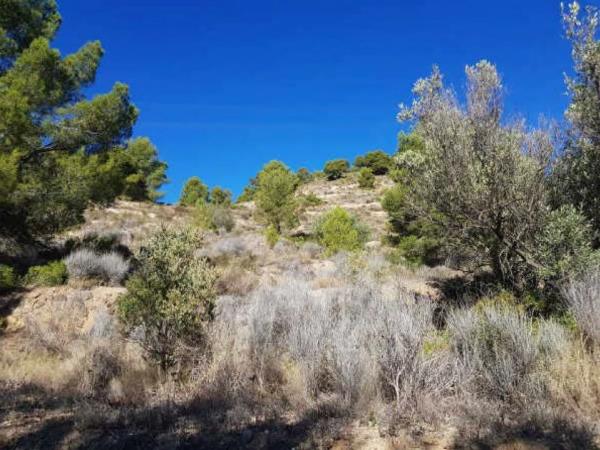 Terreno en plaza Foya del Cac, 14