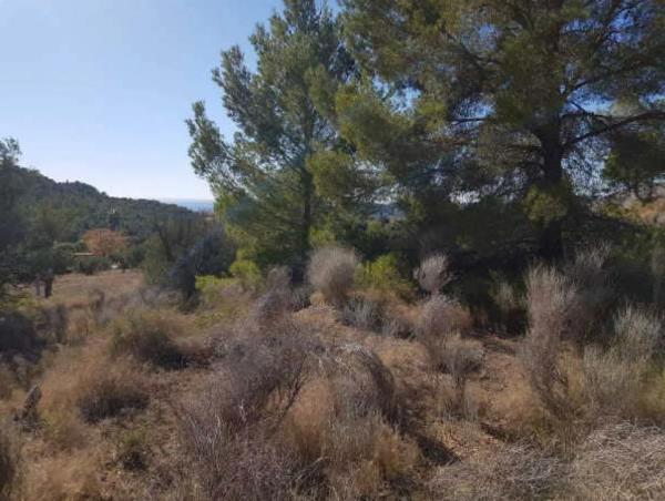 Terreno en plaza Foya del Cac, 14