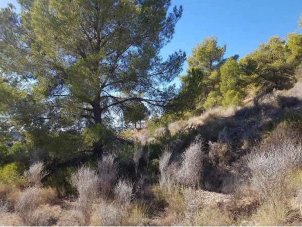 Terreno en plaza Foya del Cac, 14