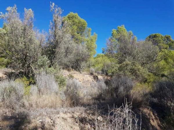 Terreno en plaza Foya del Cac, 14