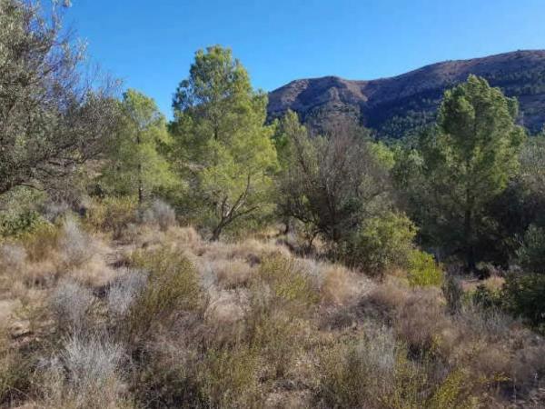 Terreno en plaza Foya del Cac, 14