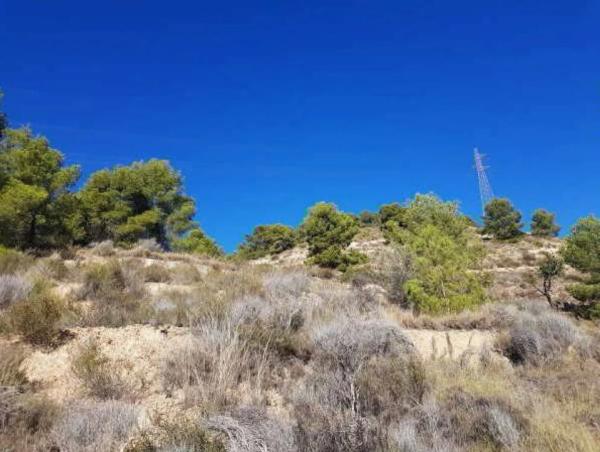 Terreno en plaza Foya del Cac, 14