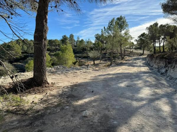 Terreno en Barranco Orta