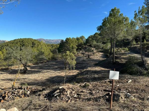 Terreno en Barranco Orta