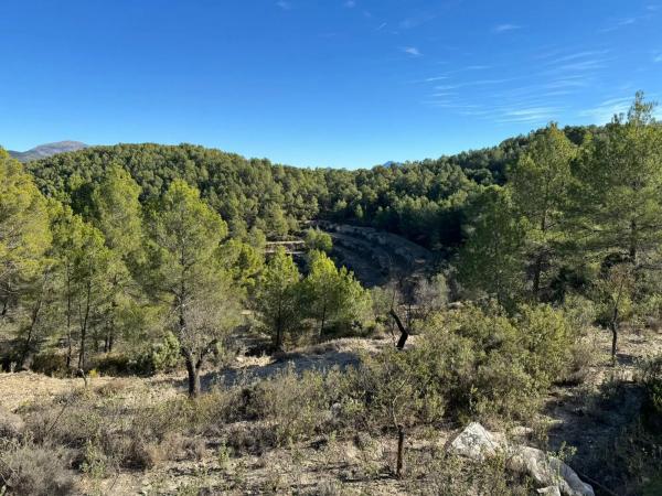 Terreno en Barranco Orta