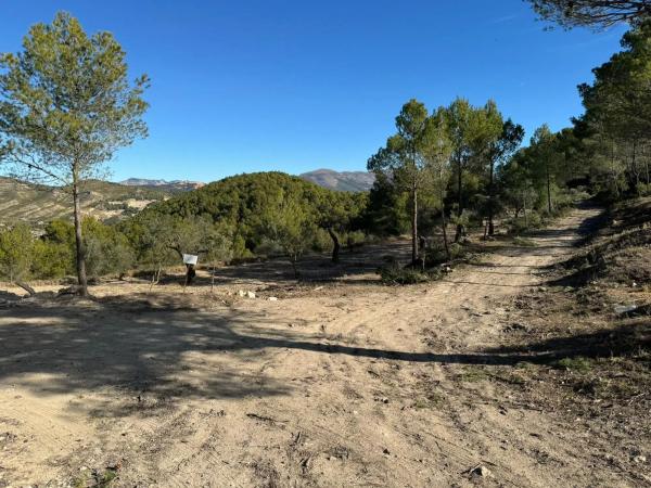 Terreno en Barranco Orta