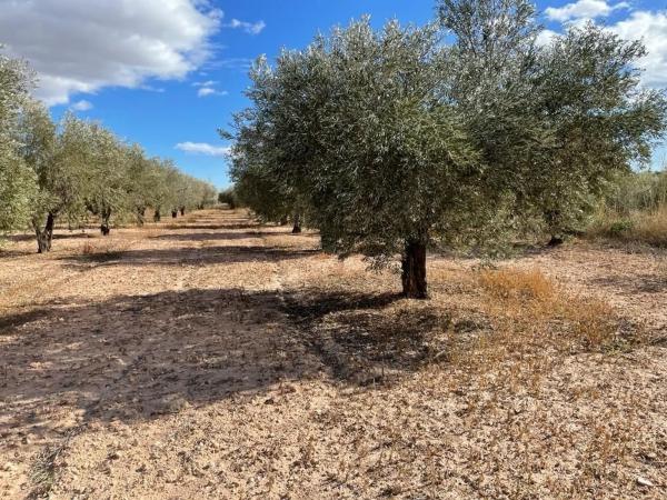 Terreno en carretera Alcoraya, 3690