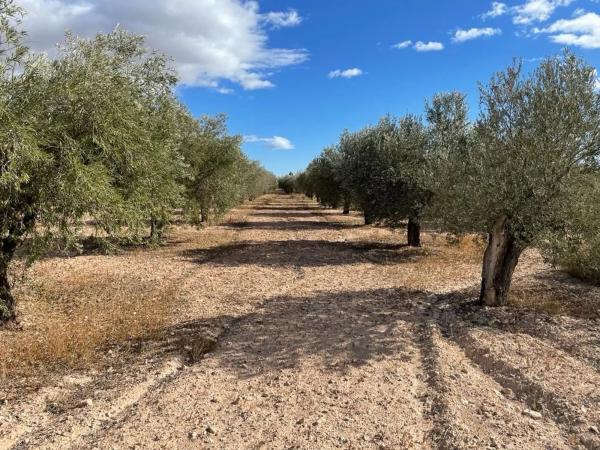 Terreno en carretera Alcoraya, 3690