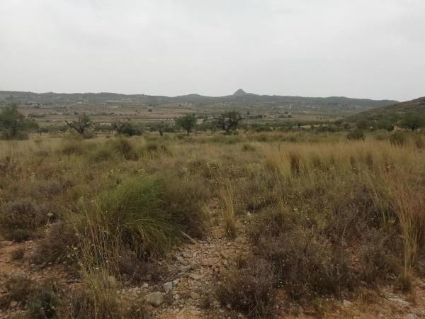 Terreno en Hondón de los Frailes