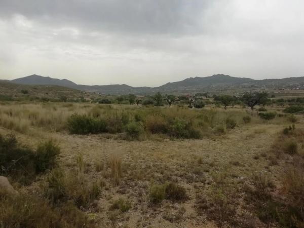 Terreno en Hondón de los Frailes