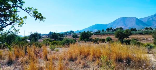 Terreno en camino de la Foyeta Llovisa, 92