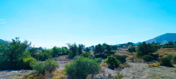 Terreno en camino de la Foyeta Llovisa, 92