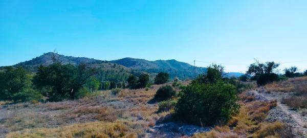 Terreno en camino de la Foyeta Llovisa, 92