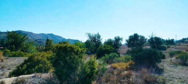Terreno en camino de la Foyeta Llovisa, 92