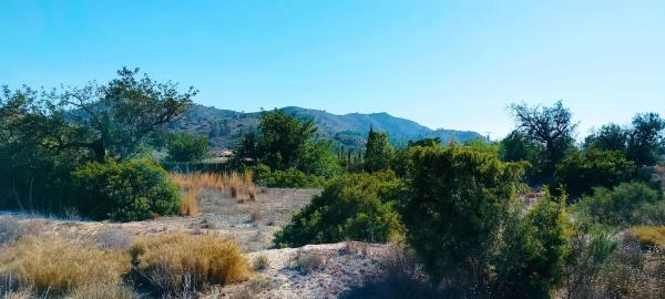 Terreno en camino de la Foyeta Llovisa, 92