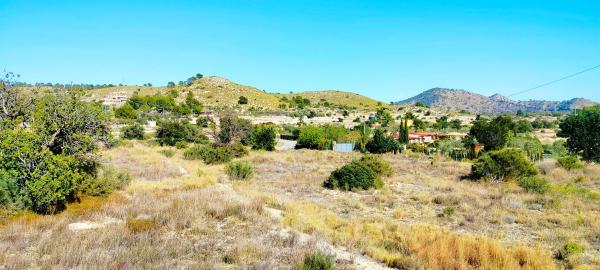 Terreno en camino de la Foyeta Llovisa, 92