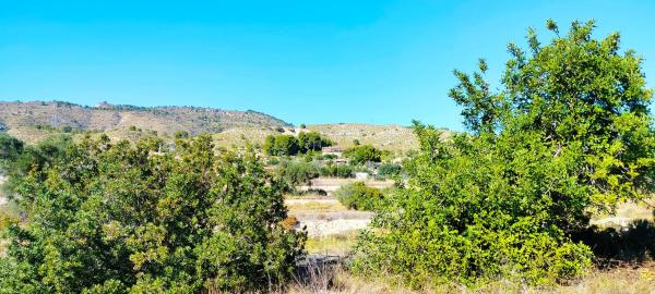 Terreno en camino de la Foyeta Llovisa, 92