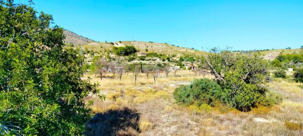 Terreno en camino de la Foyeta Llovisa, 92