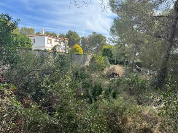 Terreno en calle de Roncadell s/n