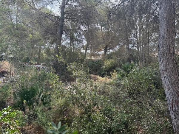 Terreno en calle de Roncadell s/n