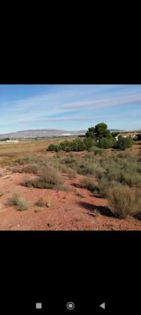 Terreno en Parage los cabezos, 50