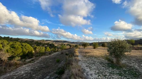 Terreno en camino de Serrallonga, 13 c