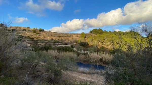 Terreno en camino de Serrallonga, 13 c