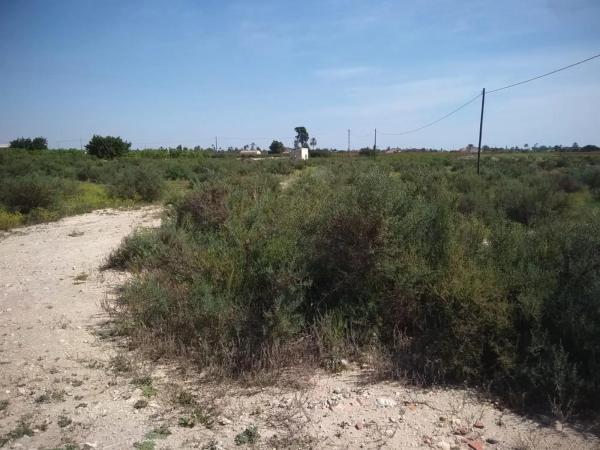 Terreno en Partida Saladas