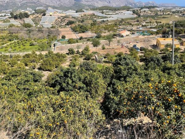 Terreno en La Nucia Pueblo