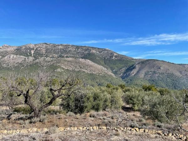Terreno en Guadalest