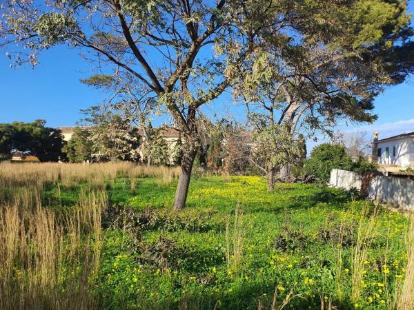 Terreno en Les Rotes/Las Rotas