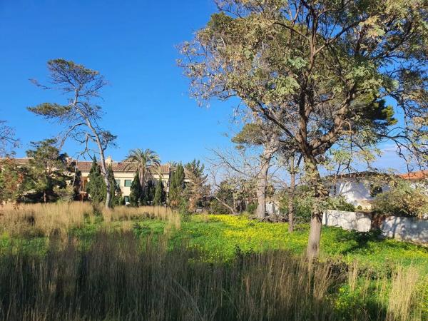 Terreno en Les Rotes/Las Rotas