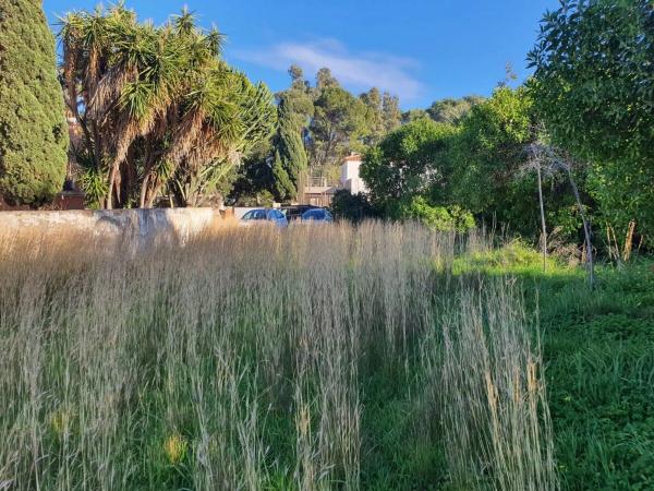 Terreno en Les Rotes/Las Rotas