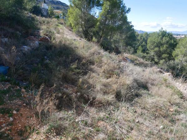 Terreno en calle Maia, 15