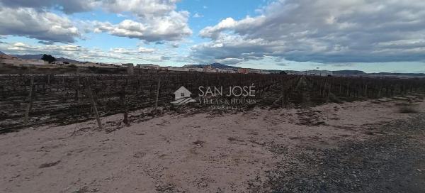 Terreno en Monforte del Cid