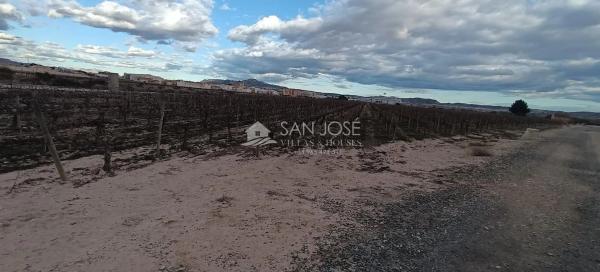 Terreno en Monforte del Cid