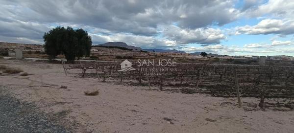Terreno en Monforte del Cid