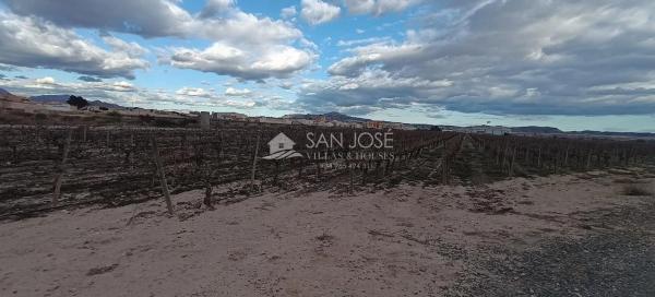 Terreno en Monforte del Cid