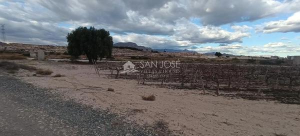 Terreno en Monforte del Cid