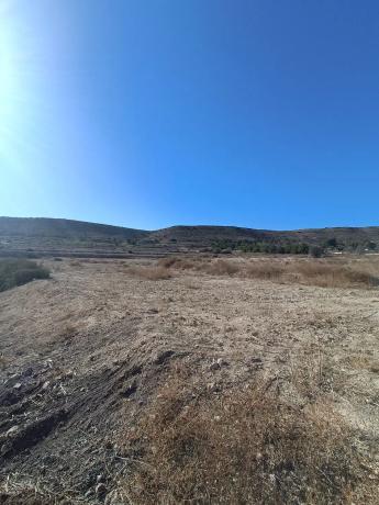 Terreno en camino del Diputat, 212